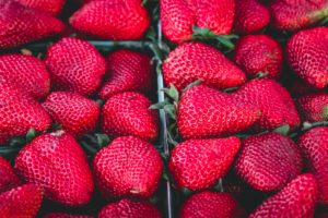 Fraises et fruits rouges YesWeGreen