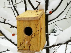 Menuiserie : atelier création d’un nichoir à oiseaux en bois de palettes