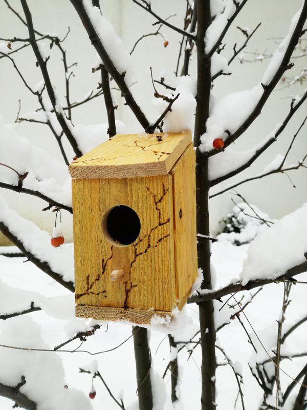 Atelier enfants anniversaire nichoir à oiseaux manuel