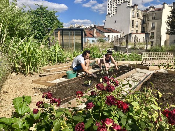 Atelier jardinage naturel permaculture paris