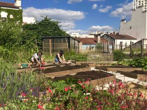 Jardinage naturel : atelier initiation à la culture de fruits et légumes