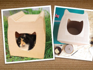Cabane à chat en carton : atelier création upcycling