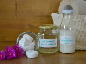 gel nettoyant W.C, nettoyant multi-usages et des pastilles : atelier entretenir ses sanitaires naturellement