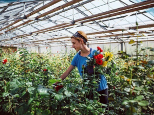 Horticulture : atelier d’initiation au métier (une journée) + confection d’un bouquet