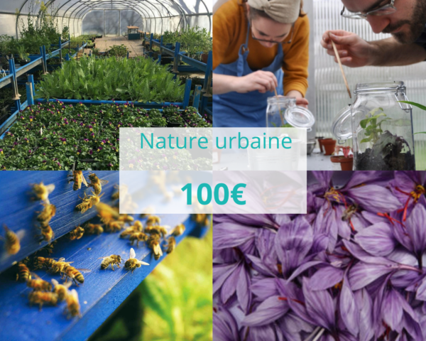 Visuel nature urbaine 100€